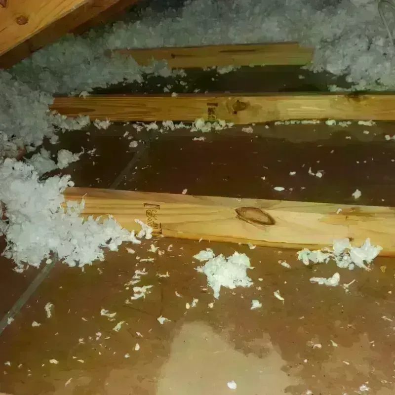 Attic Water Damage in Washington Terrace, UT